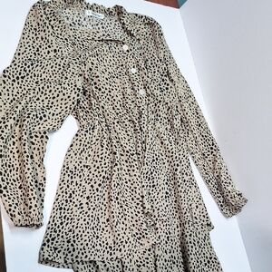 Leopard Print Long Sleeve Dress
